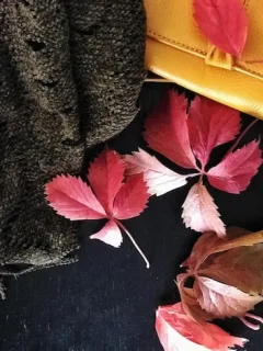 Top 5 Shein Bag Styles for Fall 2025: A Shoppable Guide - Cover Image
