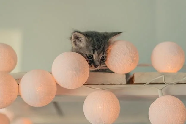 A playful kitten wearing a cute, budget-friendly collar from SHEIN, batting at a dangling toy suspended from a minimalistic cat tree in a brightly lit room.