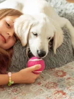 SHEIN Pet Supplies: Affordable Finds for US Homes - Cover Image