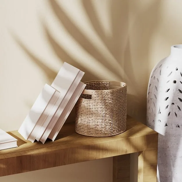Decluttering Your US Home: A 30-Day SHEIN Storage Challenge - Cover Image