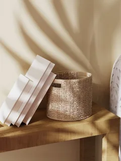 Decluttering Your US Home: A 30-Day SHEIN Storage Challenge - Cover Image