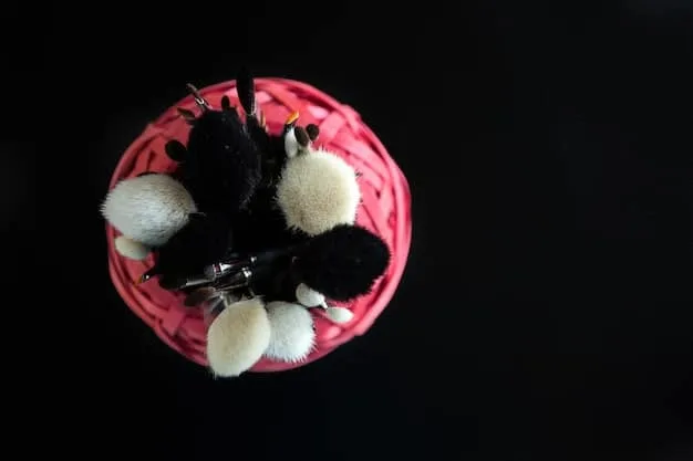 A close-up of various accessories laid out on a dark velvet surface, including a delicate daytime necklace next to a bolder statement piece, a compact evening clutch contrasting with a large tote bag, and elegant high heels beside comfortable ballet flats, illustrating clear day-to-night transitions.