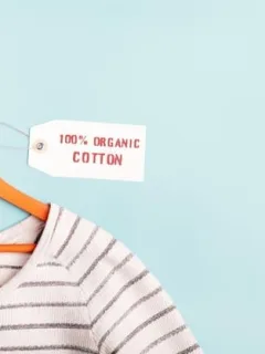 Clothing & Accessories Article - clothing_a_inserdernewscom_25_1754606655_671b6898_sustainabl.html - Cover Image
