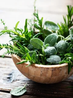 Natural Remedies for Common Skin Conditions: Soothe & Heal - Cover Image