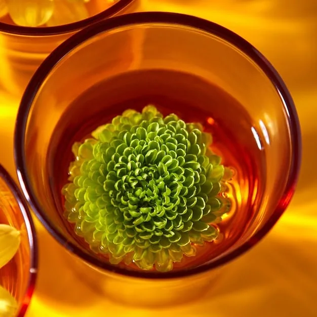 A close-up of a diverse range of botanical extracts and scientific glassware, symbolizing the blend of nature and science in modern anti-aging formulations.