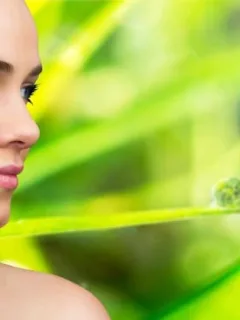 Top 5 Anti-Aging Ingredients in 2025: Dermatologists' Recommendations - Cover Image