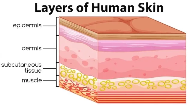 Dry Skin SOS