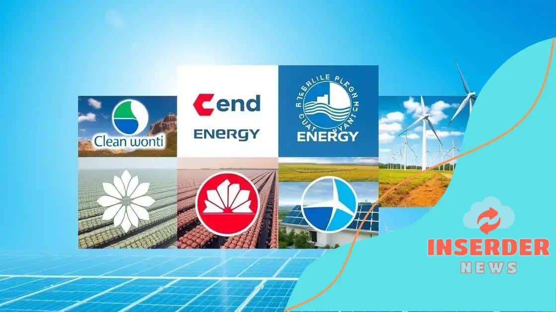 Key players in the clean energy sector
