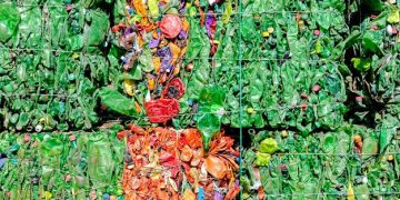 Community Gardens: Art and Nature Unite - Your Ultimate Guide - Cover Image