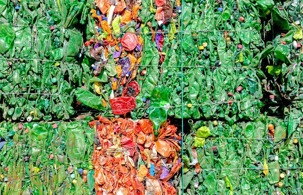 Community Gardens: Art and Nature Unite – Your Ultimate Guide