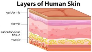 Dry Skin SOS