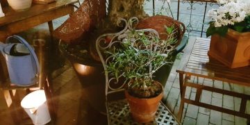 SHEIN Outdoor Living: Budget Patio Decor for US Homes - Cover Image
