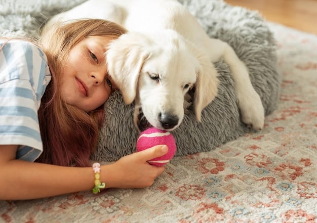 SHEIN Pet Supplies: Affordable Finds for US Homes