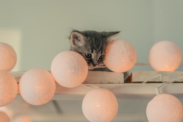 A playful kitten wearing a cute, budget-friendly collar from SHEIN, batting at a dangling toy suspended from a minimalistic cat tree in a brightly lit room.