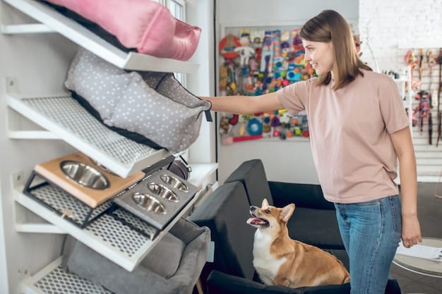A neatly organized cabinet in a US home kitchen, showcasing various SHEIN pet food containers, colorful pet toys, and grooming tools, highlighting affordability and practicality.