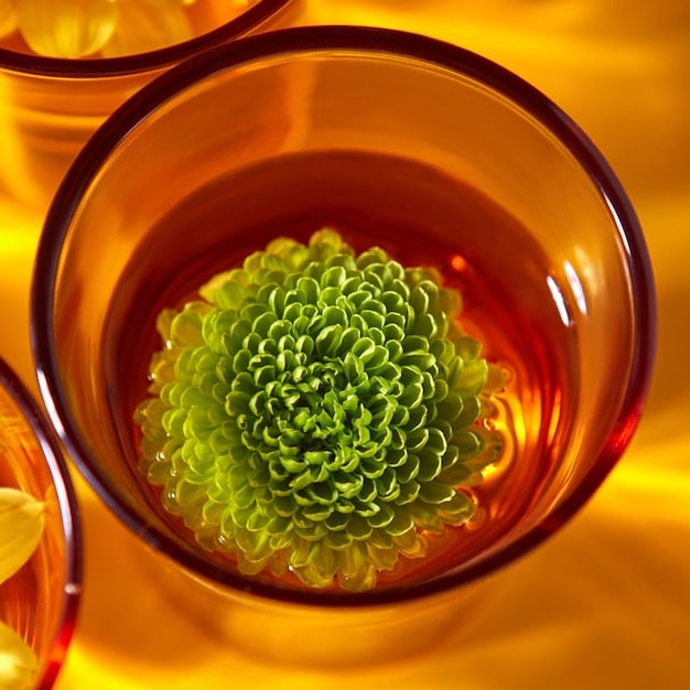 A close-up of a diverse range of botanical extracts and scientific glassware, symbolizing the blend of nature and science in modern anti-aging formulations.