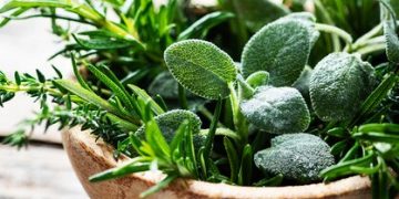 Natural Remedies for Common Skin Conditions: Soothe & Heal - Cover Image