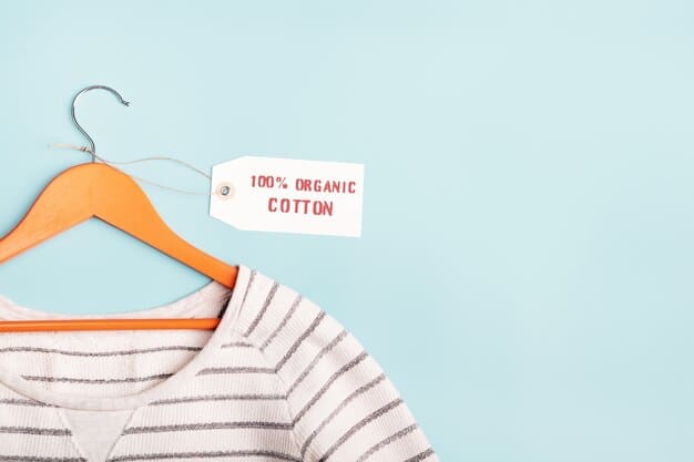Clothing & Accessories Article – clothing_a_inserdernewscom_25_1754606655_671b6898_sustainabl.html