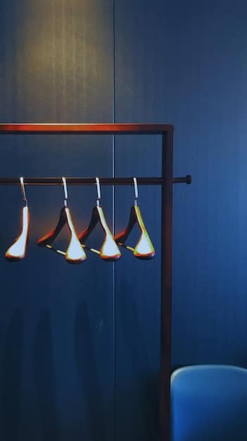 An interior view of a modern closet featuring slim velvet hangers holding a neatly arranged collection of clothes, clearly labeled transparent storage bins on shelves, and integrated drawer dividers for accessories, highlighting efficient use of space.